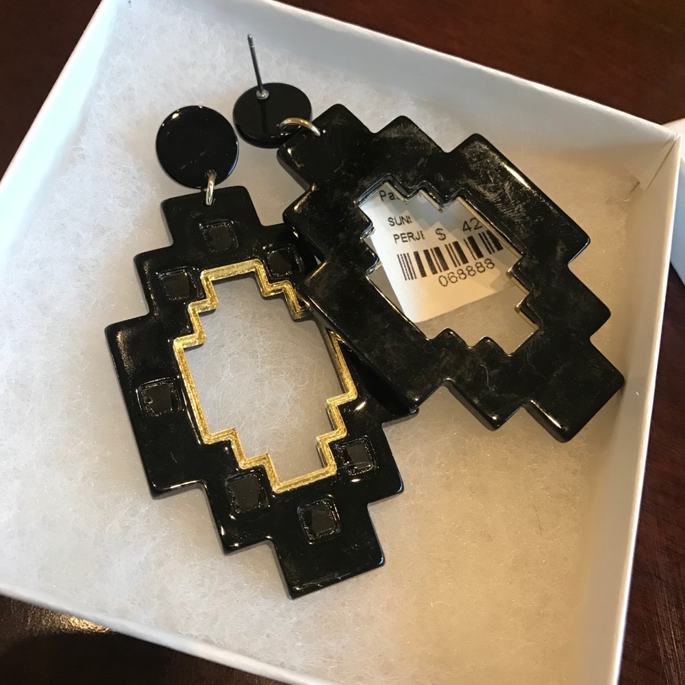 🎉HP🎉NWT Acrylic Drop Earrings